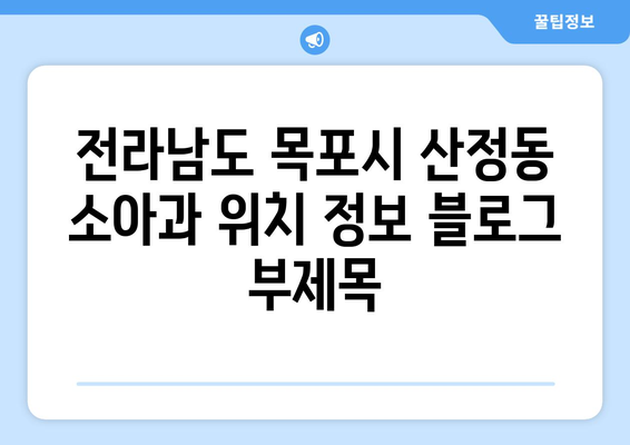 전라남도 목포시 산정동 소아과 위치 정보