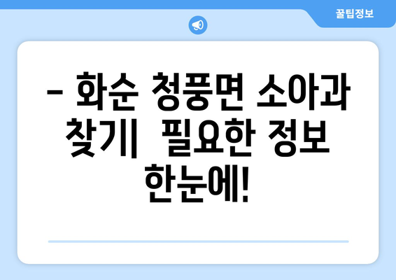 전라남도 화순군 청풍면 소아과 위치 정보