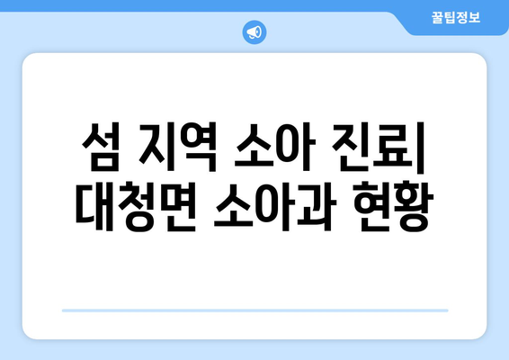 인천시 옹진군 대청면 소아과 위치 정보