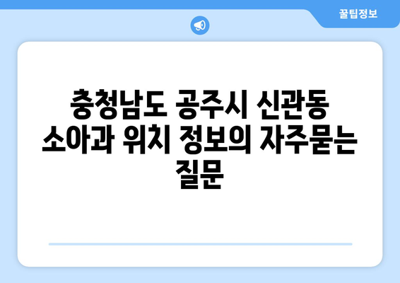 충청남도 공주시 신관동 소아과 위치 정보