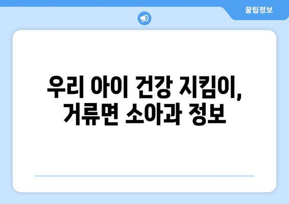 경상남도 고성군 거류면 소아과 위치 정보