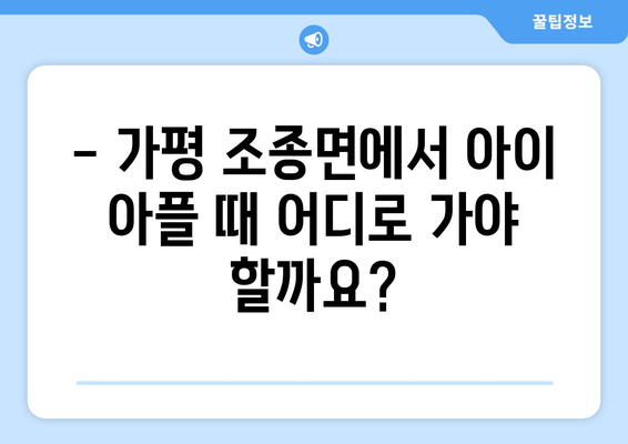 경기도 가평군 조종면 소아과 위치 정보