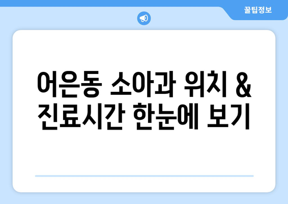 대전시 유성구 어은동 소아과 위치 정보