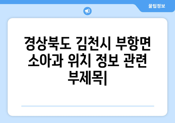 경상북도 김천시 부항면 소아과 위치 정보