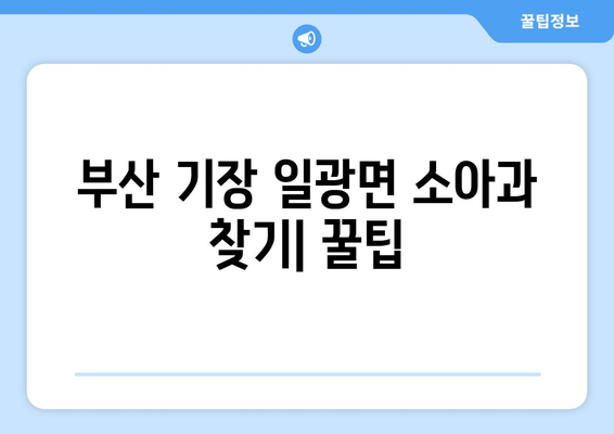 부산시 기장군 일광면 소아과 위치 정보