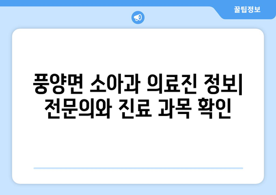 전라남도 고흥군 풍양면 소아과 위치 정보