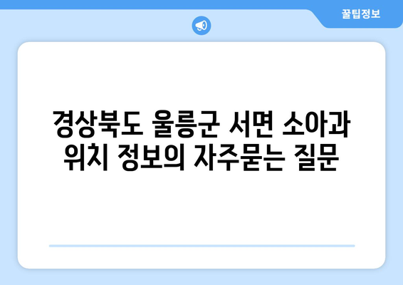 경상북도 울릉군 서면 소아과 위치 정보