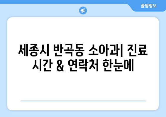 세종시 세종특별자치시 반곡동 소아과 위치 정보