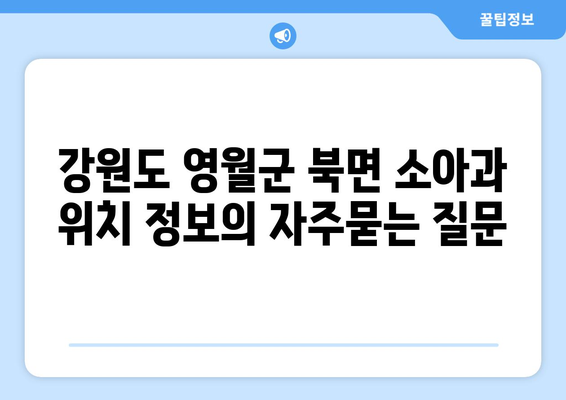 강원도 영월군 북면 소아과 위치 정보