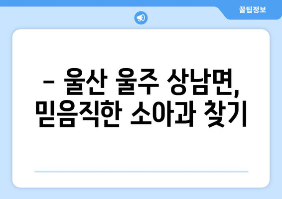 울산시 울주군 상남면 소아과 위치 정보