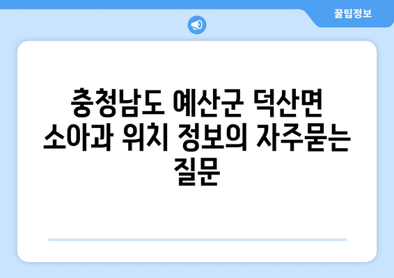 충청남도 예산군 덕산면 소아과 위치 정보