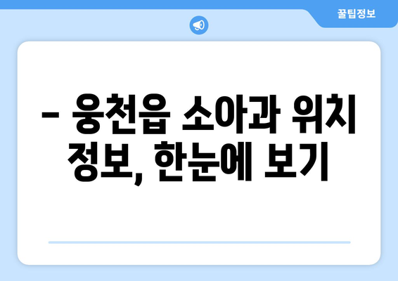 충청남도 보령시 웅천읍 소아과 위치 정보