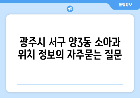 광주시 서구 양3동 소아과 위치 정보