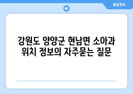 강원도 양양군 현남면 소아과 위치 정보