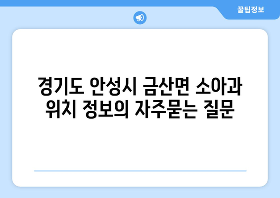 경기도 안성시 금산면 소아과 위치 정보