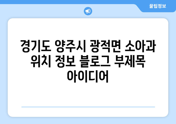 경기도 양주시 광적면 소아과 위치 정보