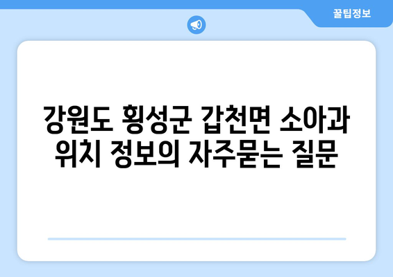 강원도 횡성군 갑천면 소아과 위치 정보