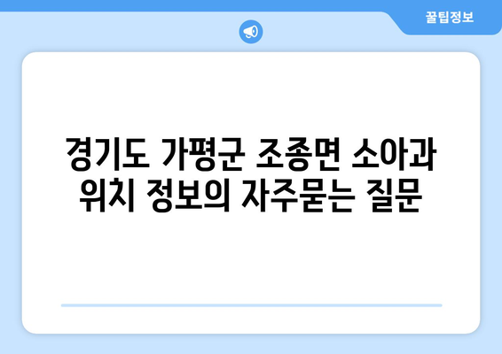 경기도 가평군 조종면 소아과 위치 정보