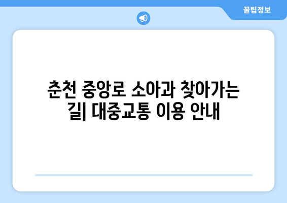 강원도 춘천시 중앙로 소아과 위치 정보