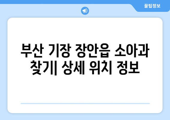 부산시 기장군 장안읍 소아과 위치 정보