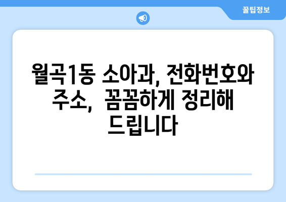 광주시 광산구 월곡1동 소아과 위치 정보