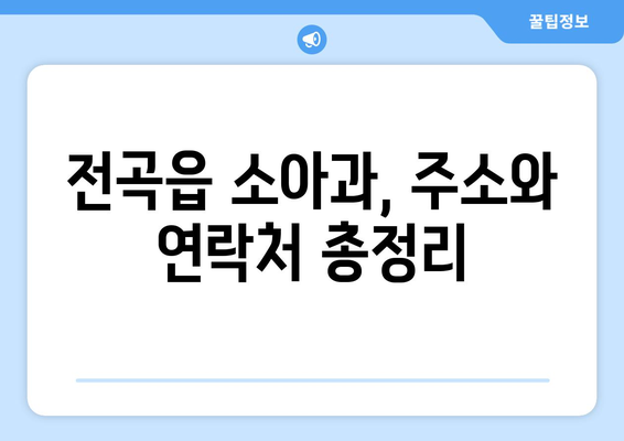 경기도 연천군 전곡읍 소아과 위치 정보