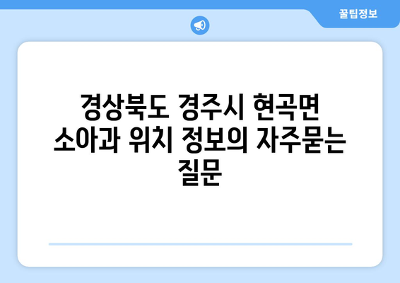 경상북도 경주시 현곡면 소아과 위치 정보