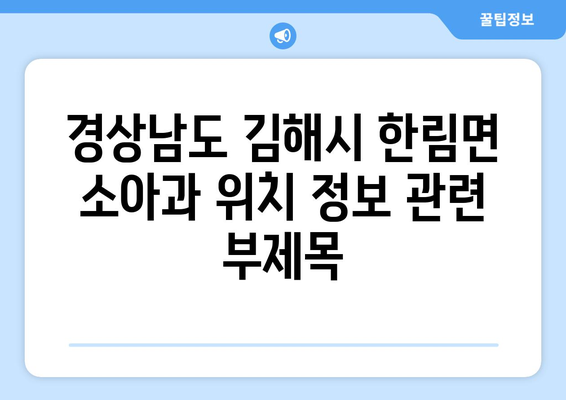 경상남도 김해시 한림면 소아과 위치 정보