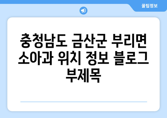 충청남도 금산군 부리면 소아과 위치 정보