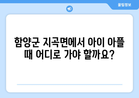 경상남도 함양군 지곡면 소아과 위치 정보