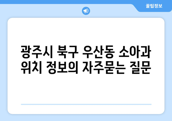 광주시 북구 우산동 소아과 위치 정보