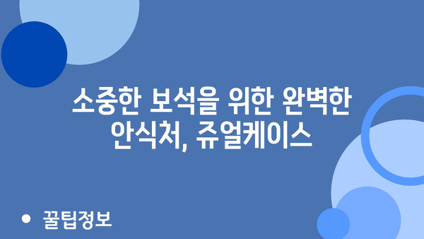 쥬얼케이스