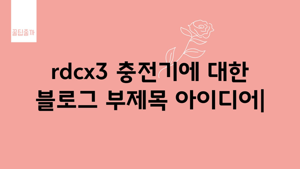 rdcx3충전기