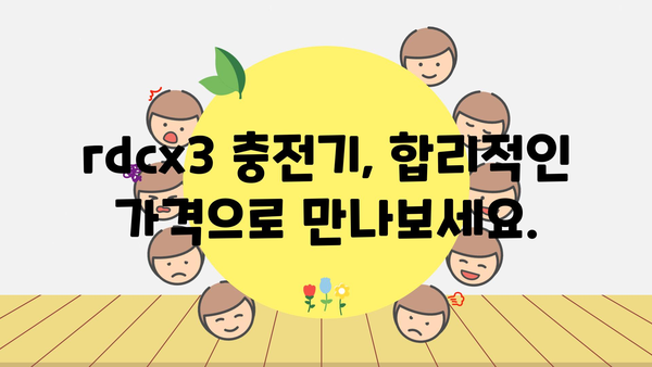 rdcx3충전기