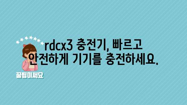 rdcx3충전기