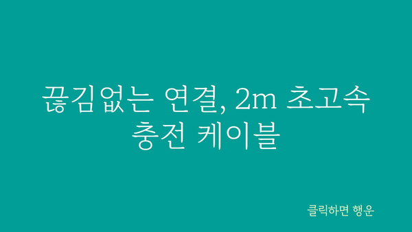 초고속충전케이블2m