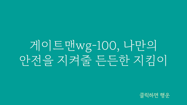 게이트맨wg-100