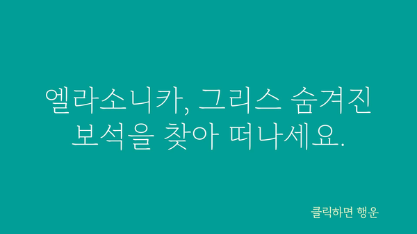 엘라소니카