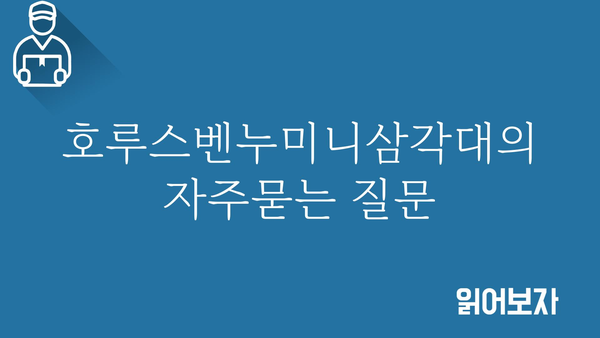 호루스벤누미니삼각대