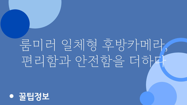 천안룸미러후방카메라