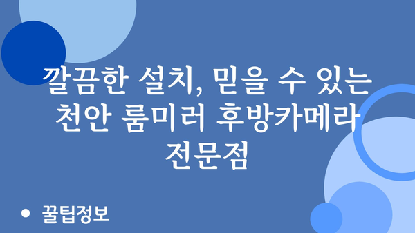 천안룸미러후방카메라