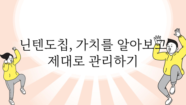 닌텐도칩