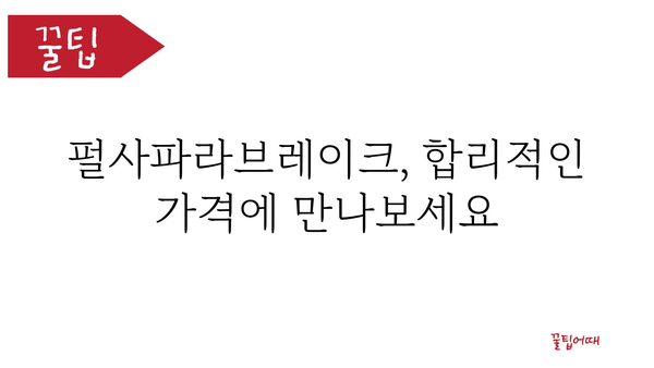 펄사파라브레이크 가격