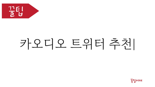 카오디오트위터 추천