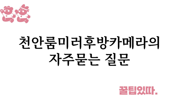 천안룸미러후방카메라