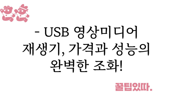 usb영상미디어재생기 가격