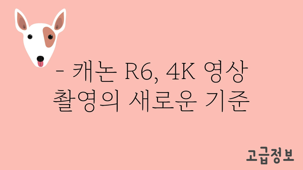 canonr6 추천