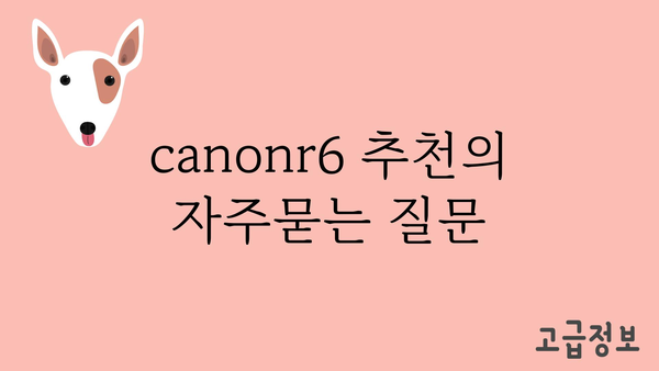 canonr6 추천