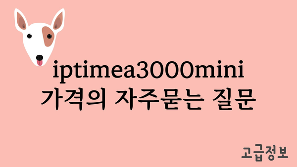 iptimea3000mini 가격