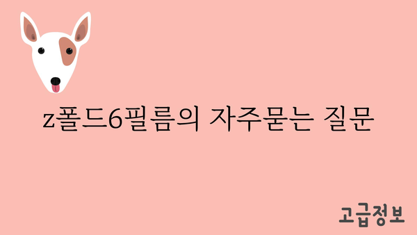 z폴드6필름